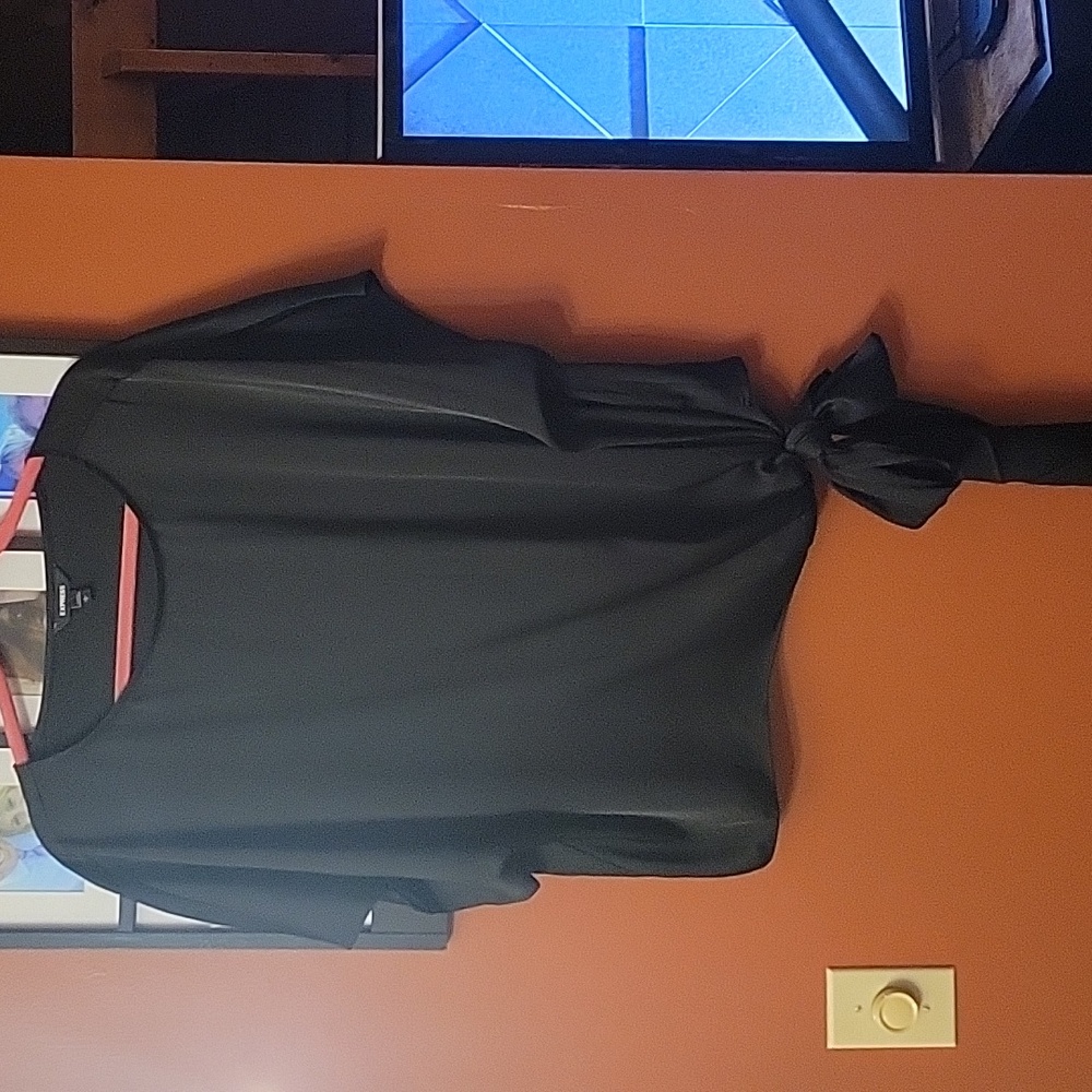 Express silky top